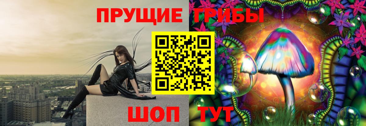 Псилоцибиновые грибы мухоморы  Галлюциногенные грибы Psilocybine cubensis  Железноводск  Вход с VPN 