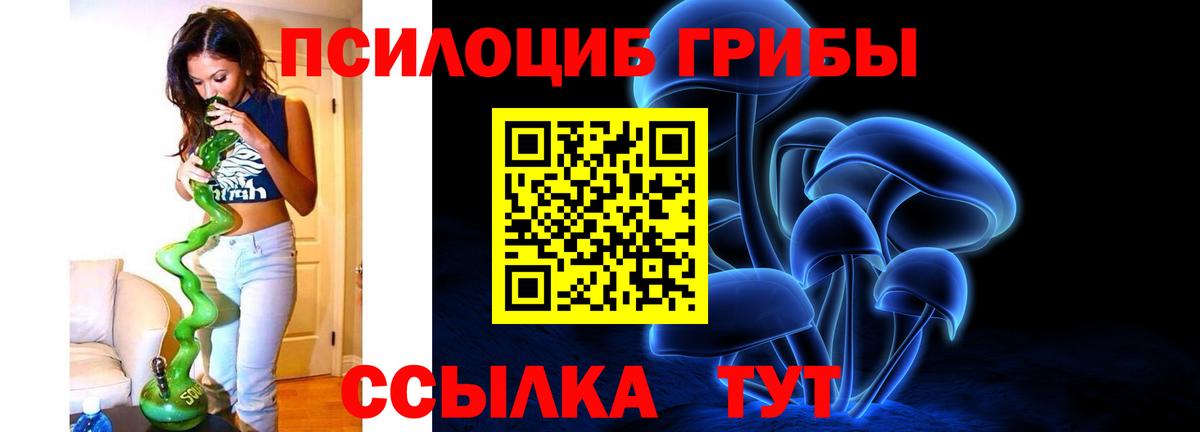 Галлюциногенные грибы GOLDEN TEACHER Железноводск